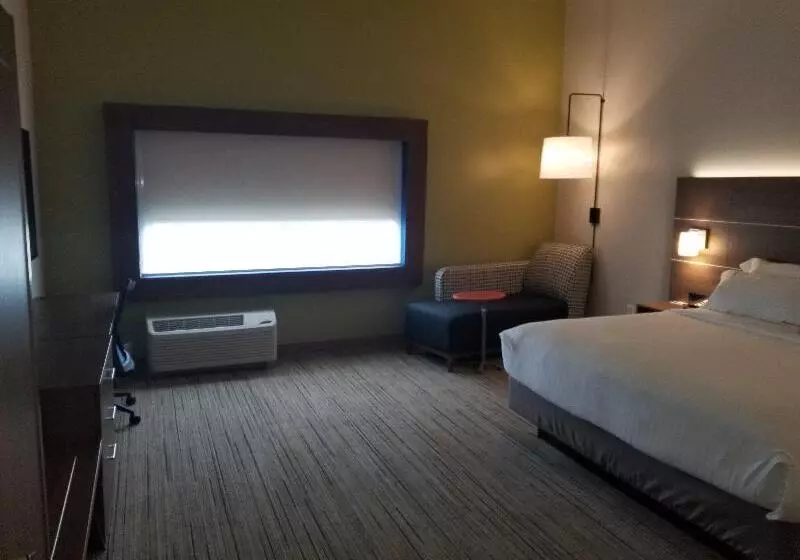 キングサイズベッドのスタンダードルーム, Holiday Inn Express Hotel & Suites Dublin, An Ihg