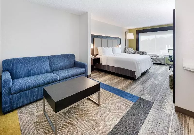 キングサイズベッドのスイートルーム, Holiday Inn Express Hotel & Suites Dublin, An Ihg