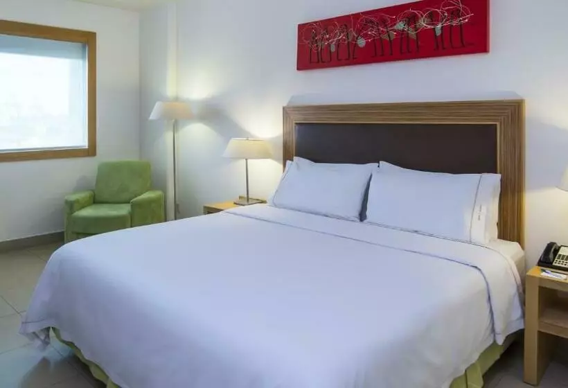 اتاق استاندارد با تخت بزرگ, Holiday Inn Express Manzanillo, An Ihg