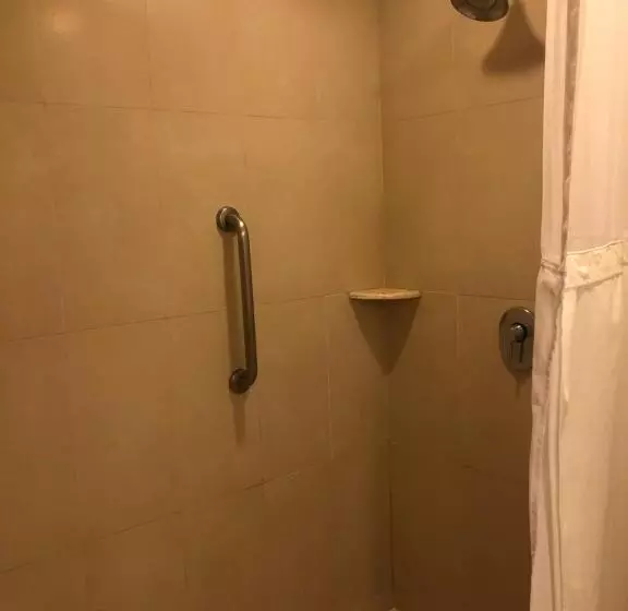 اتاق استاندارد با بالکن, Holiday Inn Express Manzanillo, An Ihg
