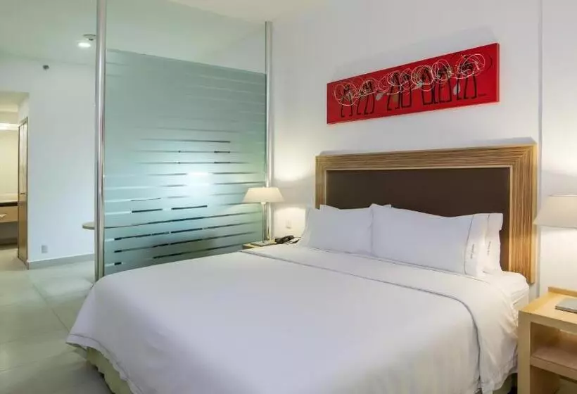 اتاق اجرایی با تخت بزرگ, Holiday Inn Express Manzanillo, An Ihg