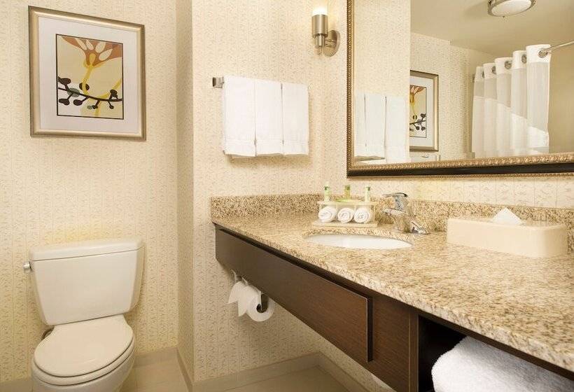 스위트, Holiday Inn Express & Suites Alexandria   Fort Belvoir, An Ihg