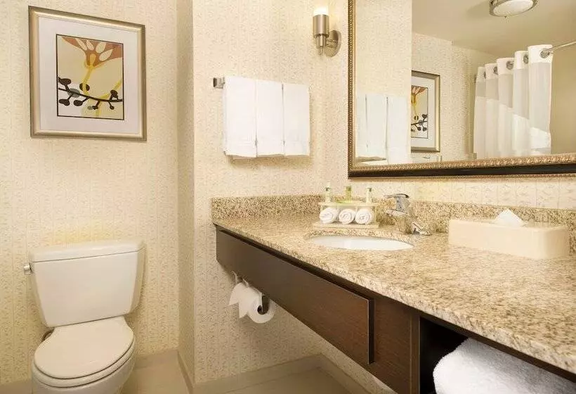 スイート, Holiday Inn Express & Suites Alexandria   Fort Belvoir, An Ihg