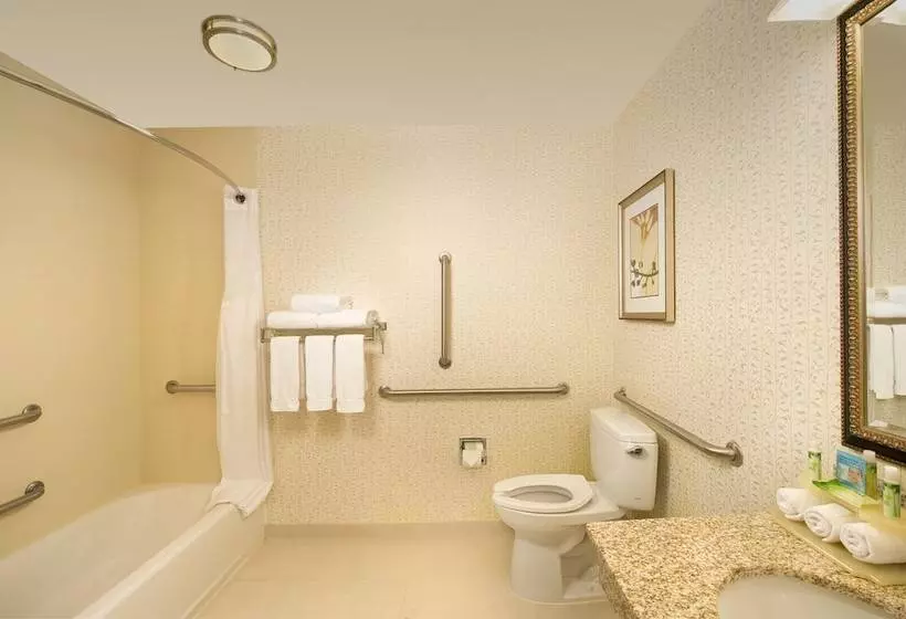 身障者適用スイートルーム, Holiday Inn Express & Suites Alexandria   Fort Belvoir, An Ihg
