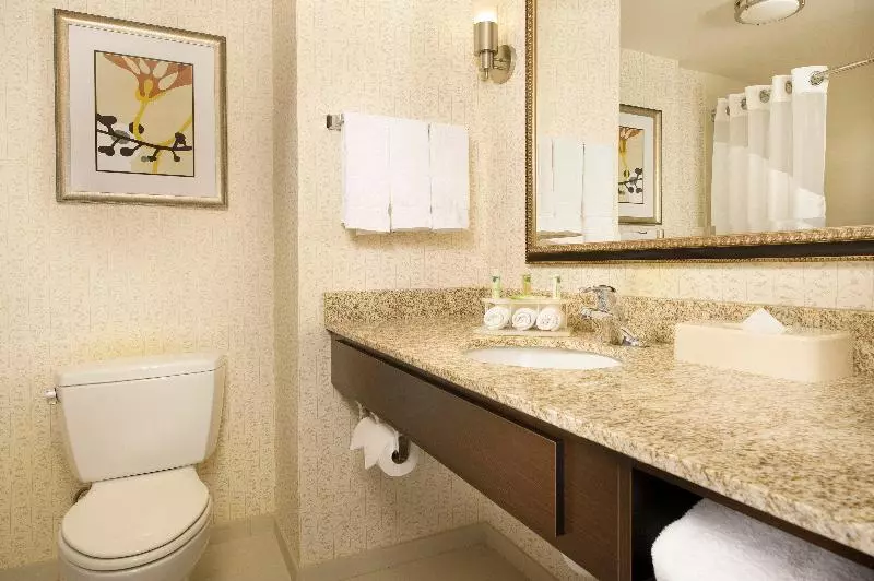 キングサイズベッドのスイートルーム, Holiday Inn Express & Suites Alexandria   Fort Belvoir, An Ihg