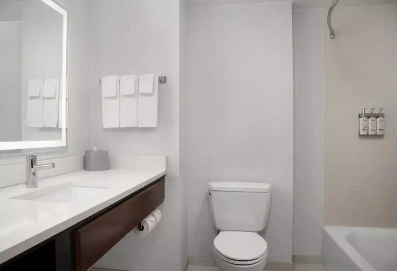 スタンダードルーム, Holiday Inn Express & Suites Alexandria   Fort Belvoir, An Ihg