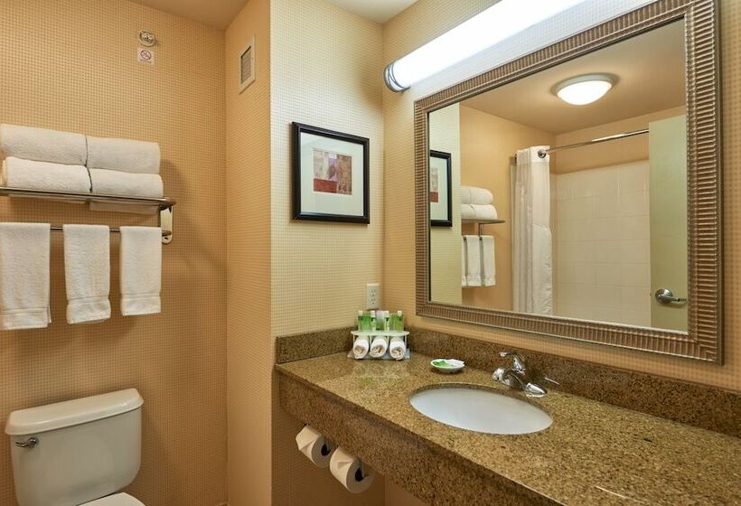 סוויטה מותאמת לאדם עם מוגבלויות, Holiday Inn Express & Suites El Paso Airport, An Ihg