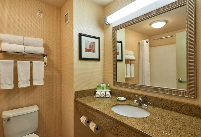 Sviitti Liikuntarajoitteisille, Holiday Inn Express & Suites El Paso Airport, An Ihg