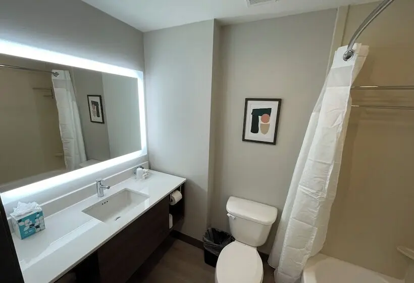 اتاق استاندارد, Holiday Inn Oklahoma City Airport