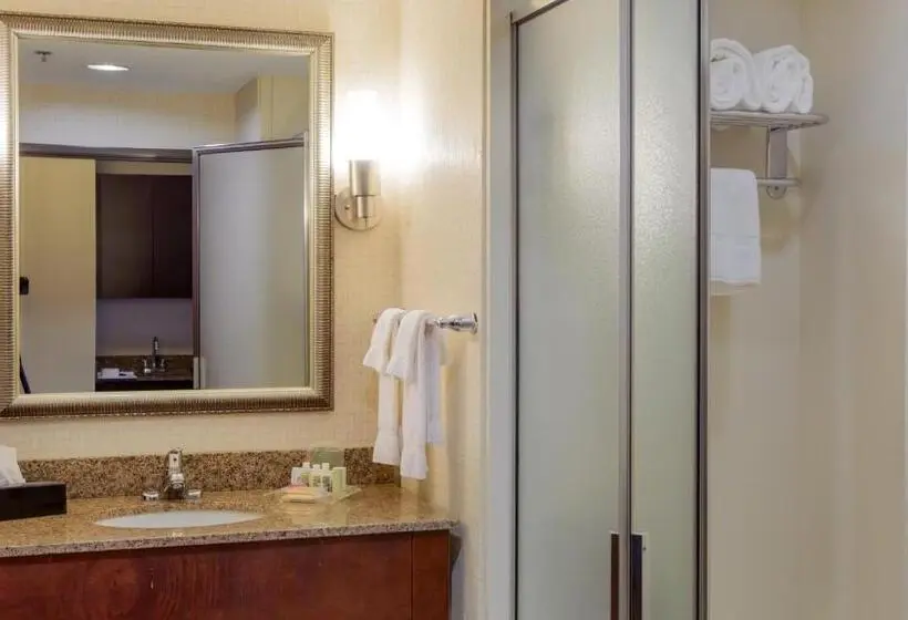 اتاق استاندارد برای معلولان, Holiday Inn Oklahoma City Airport