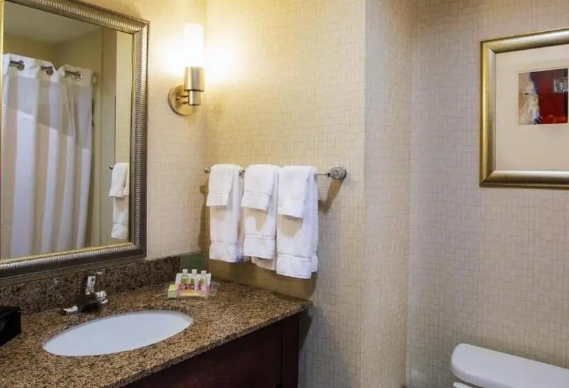 اتاق استاندارد برای معلولان, Holiday Inn Oklahoma City Airport