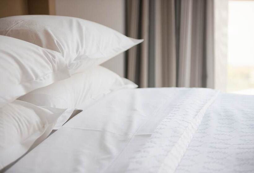 Номер Стандарт Двуспальная Кровать, Premier Hotel O.r. Tambo