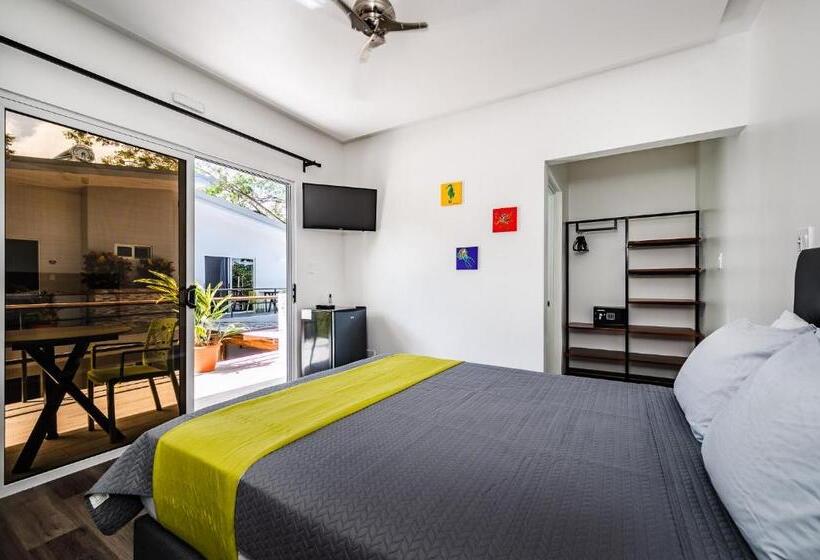 스탠다드 룸 풀장 전망, Elixir