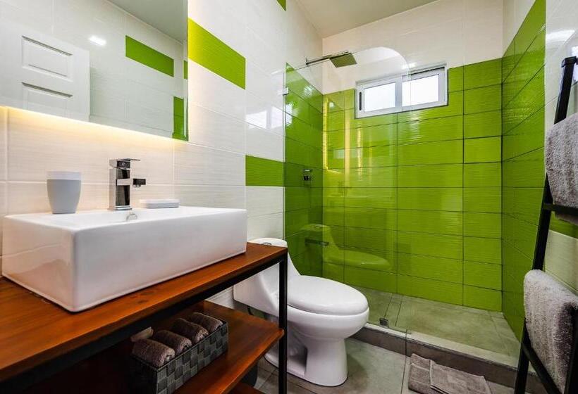 스탠다드 발코니 룸, Elixir