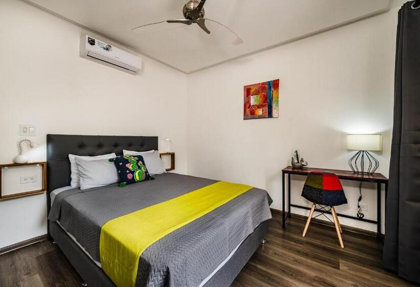 스탠다드 발코니 룸, Elixir