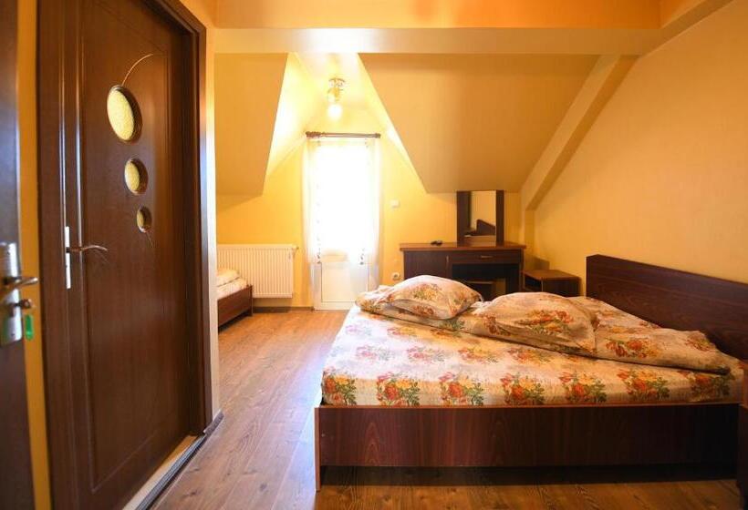 חדר דלוקס עם מרפסת, Pensiunea Dany