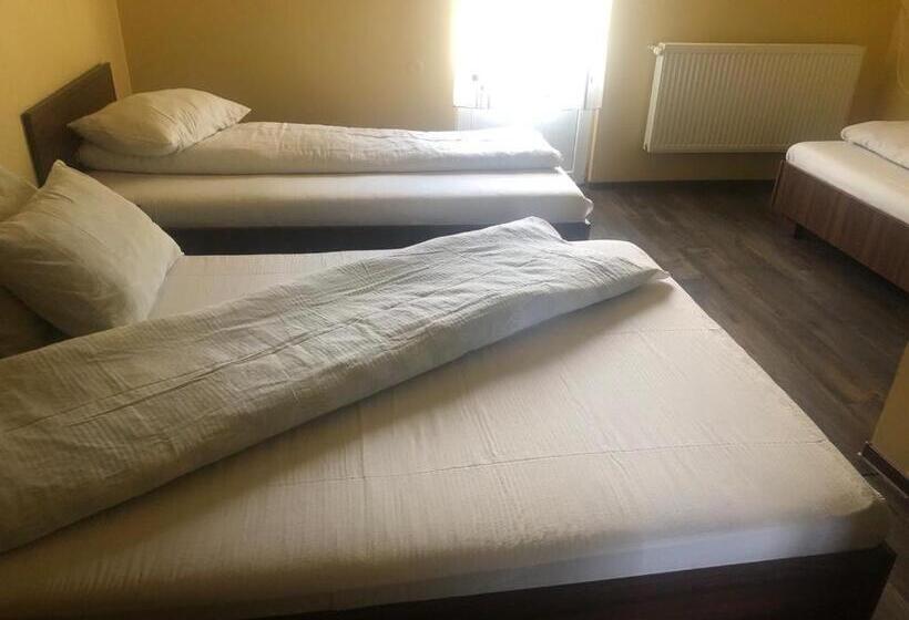 חדר בסיסי לשלושה, Pensiunea Dany