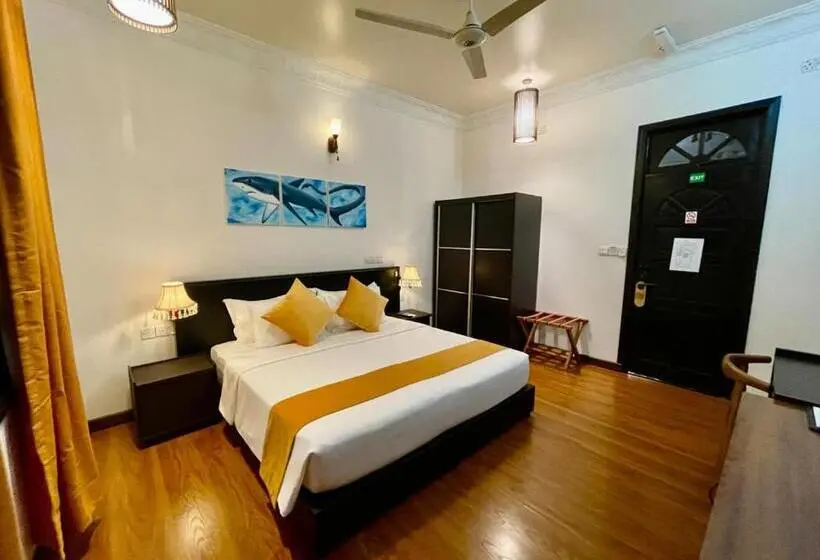 اتاق سوپریور, Shark Lounge