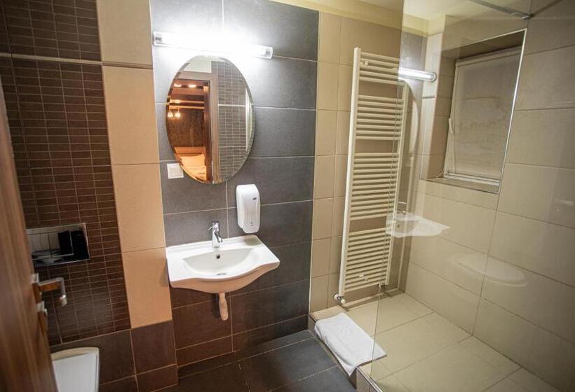 豪华房间, Pensiunea Aria Paltinis