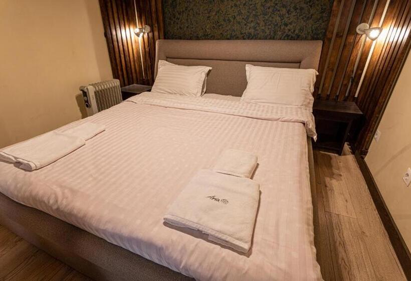 חדר דלוקס, Pensiunea Aria Paltinis