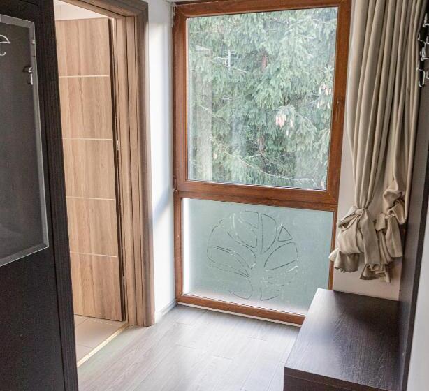 标准间, Pensiunea Aria Paltinis