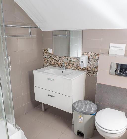 חדר סטנדרט, Pensiunea Aria Paltinis