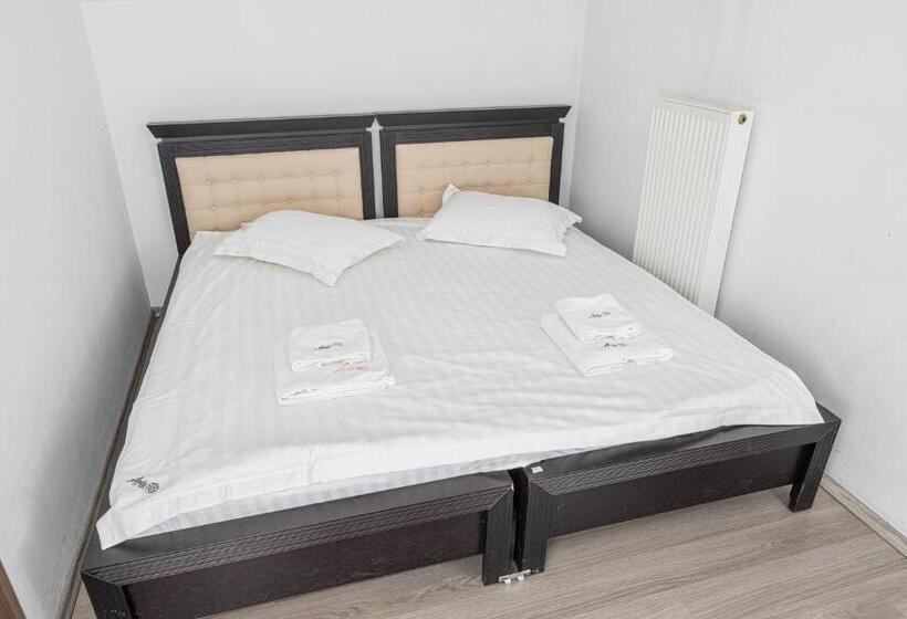 חדר סטנדרט, Pensiunea Aria Paltinis