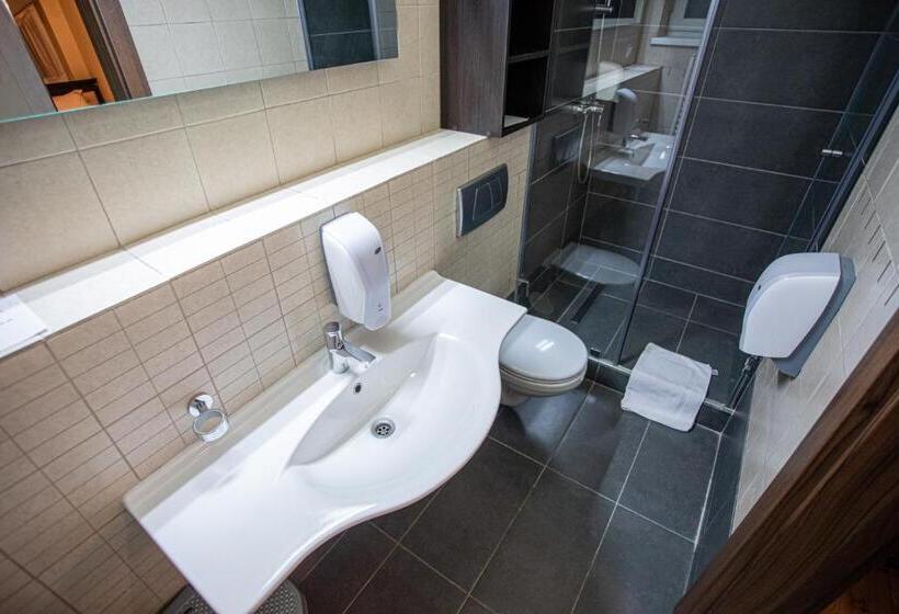 חדר משפחתי, Pensiunea Aria Paltinis