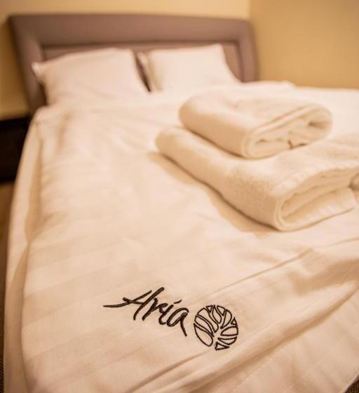 חדר משפחתי, Pensiunea Aria Paltinis