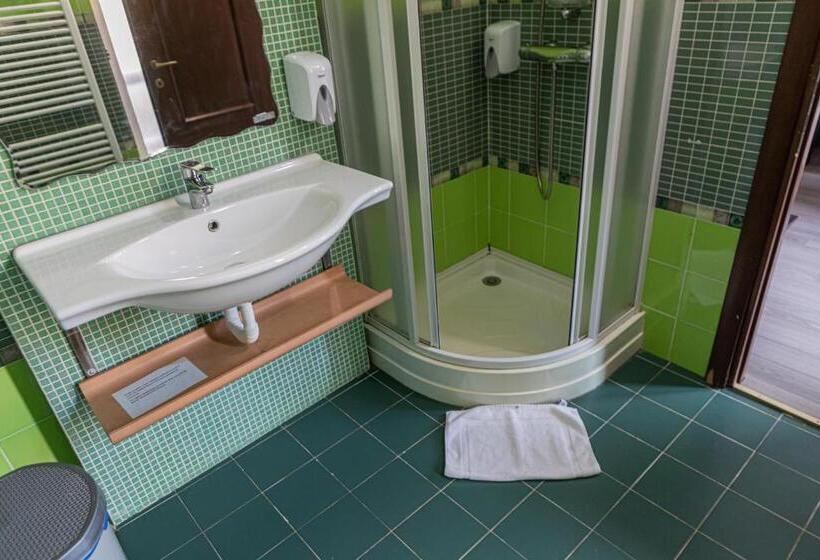 חדר קלאסי לשלושה, Pensiunea Aria Paltinis