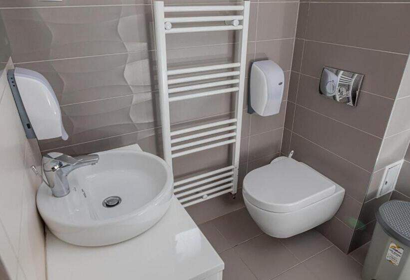 חדר קומפורט לשלושה, Pensiunea Aria Paltinis