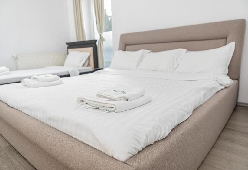 חדר קומפורט לשלושה, Pensiunea Aria Paltinis