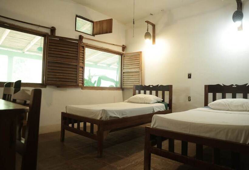 غرفة قياسية, La Buena Vista