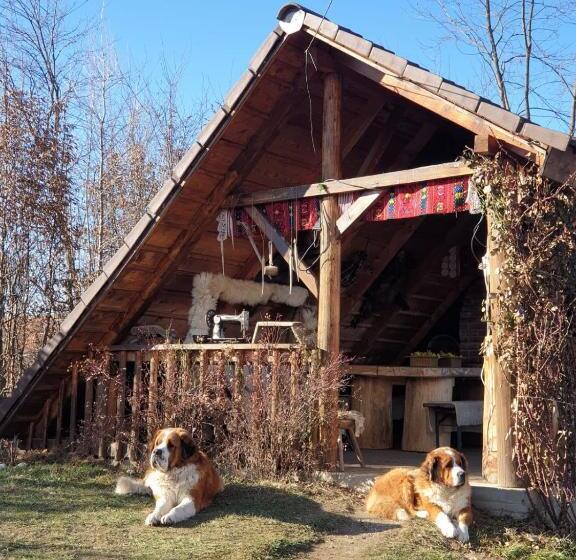 스탠다드 룸, La Curtea Porumbaceana