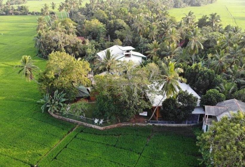 豪华房间, Moon Light Guest House