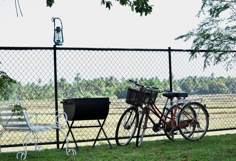 豪华房间, Moon Light Guest House