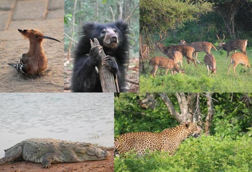带花园景观的标准三人间, Moon Light Guest House
