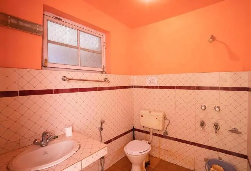 Llit en Habitació Compartida, Rainbow Hostelier