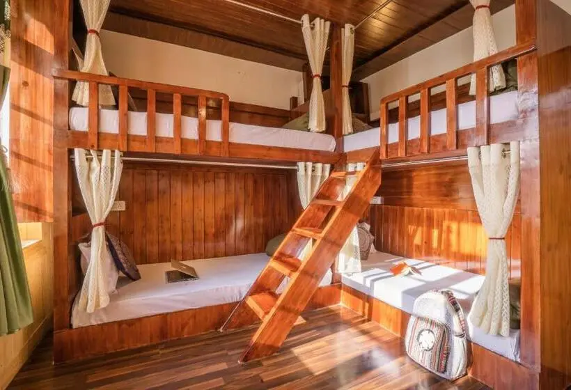 Llit en Habitació Compartida, Rainbow Hostelier