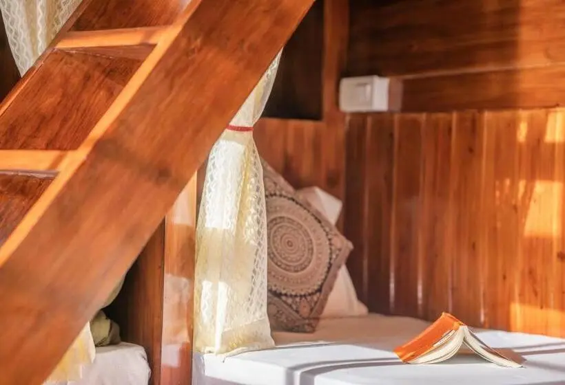 Llit en Habitació Compartida, Rainbow Hostelier