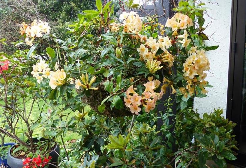 스탠다드 룸 가든 전망, Ashcroft Gardens Bed & Breakfast