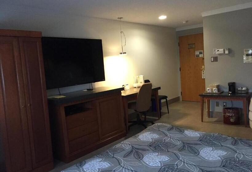 جناح, Amosphère Complexe