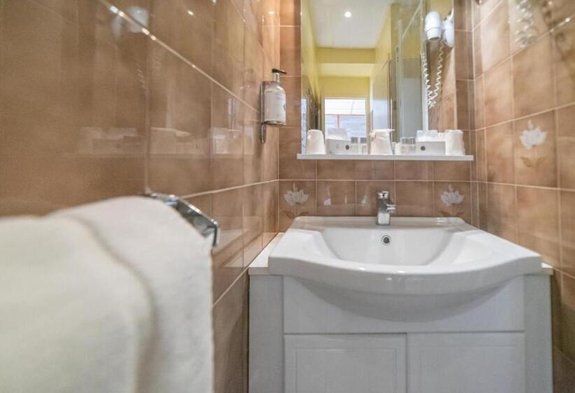 스탠다드 도시전망 룸, Des Pyrénées