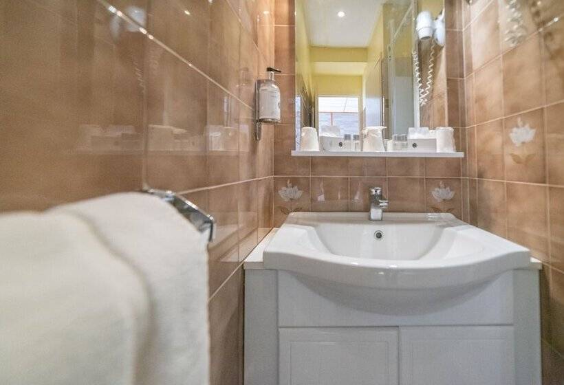 스탠다드 룸, Des Pyrénées