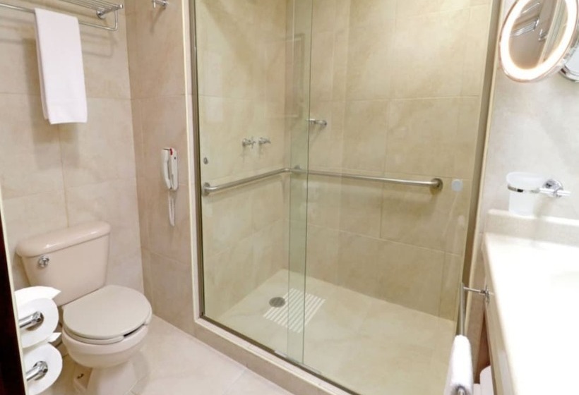 Quarto Estandar, Holiday Inn Hotel & Suites Medica Sur By Ihg