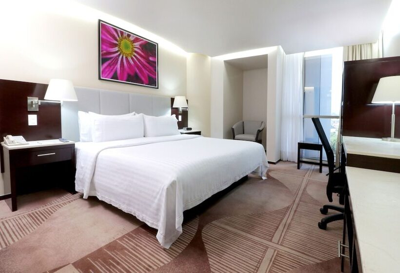 スタンダードルーム, Holiday Inn Hotel & Suites Medica Sur By Ihg