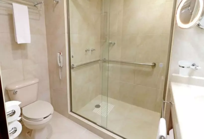 ２ダブルベッドのスタンダードルーム, Holiday Inn Hotel & Suites Medica Sur By Ihg