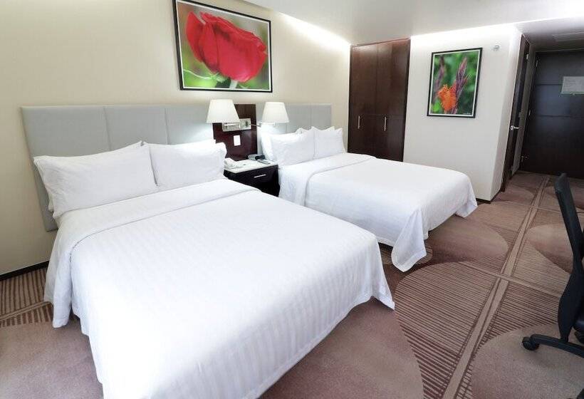 Quarto Estandar 2 Camas Casal, Holiday Inn Hotel & Suites Medica Sur By Ihg