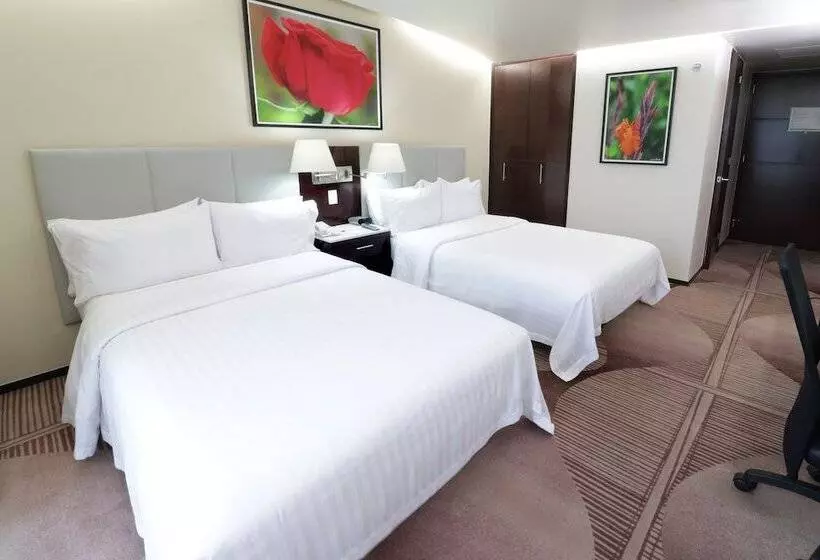 ２ダブルベッドのスタンダードルーム, Holiday Inn Hotel & Suites Medica Sur By Ihg