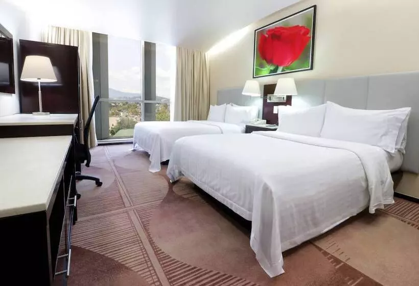 ２ダブルベッドのスタンダードルーム, Holiday Inn Hotel & Suites Medica Sur By Ihg